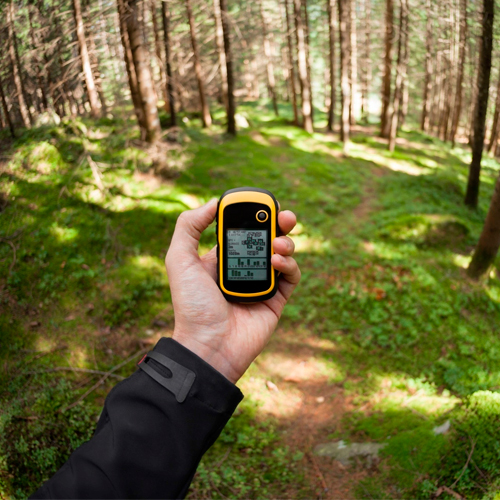 Hand holding GPS device in forest for precise mapping