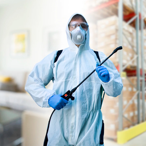 Professional pest control specialist in protective gear