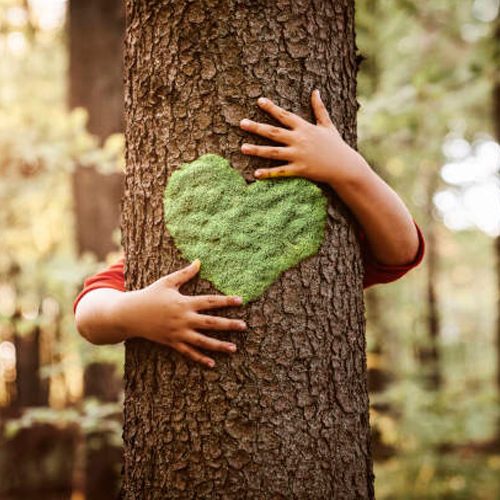 Hands embracing tree with heart-shaped moss, symbolizing our environmental mission
